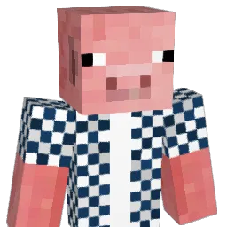 James_Craft647's Minecraft skin