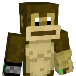 JanGHG1508 Minecraft avatar bust