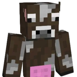 JanS0lo Minecraft avatar bust