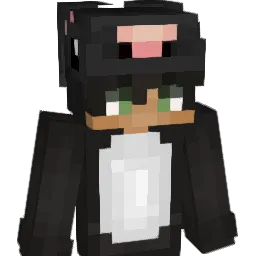JanSteltner's Minecraft skin