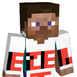 Janek123 Minecraft avatar bust