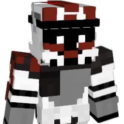 JanekD1 Minecraft avatar bust