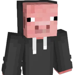 JanekKom's Minecraft skin