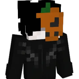Janicki_lol Minecraft avatar bust
