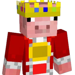 Janik2011's Minecraft skin