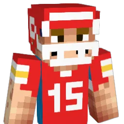 Janik_du Minecraft avatar bust