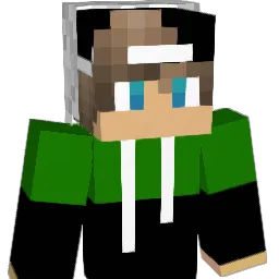 Jann2207 Minecraft avatar bust