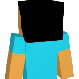 Jannis_14 Minecraft avatar bust
