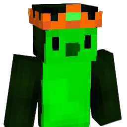 JanuszHazardu Minecraft avatar bust