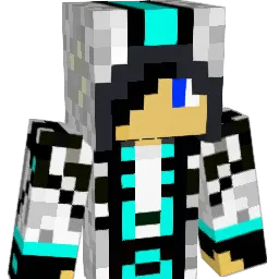 Japan123321 Minecraft avatar bust