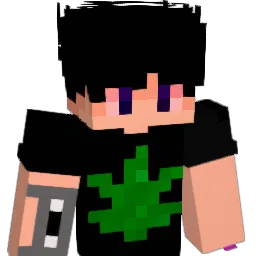 Jawan1719 Minecraft avatar bust