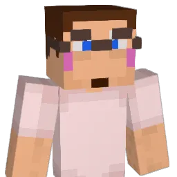 Jay848 Minecraft avatar bust