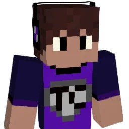 JayChris112 Minecraft avatar bust