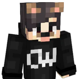 JayFr010 Minecraft avatar bust