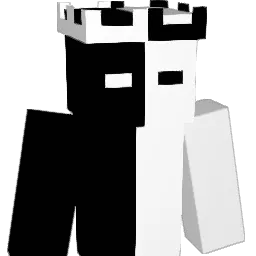 JaydenR723 Minecraft avatar bust