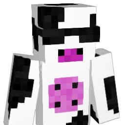 Jaydenforsterrrr Minecraft avatar bust