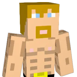 Jed17_ Minecraft avatar bust