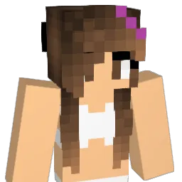 Jeffy447 Minecraft avatar bust