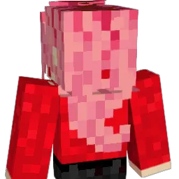 JellyFish_Doge Minecraft avatar bust