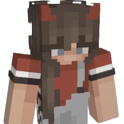 Jelonek245 Minecraft avatar bust