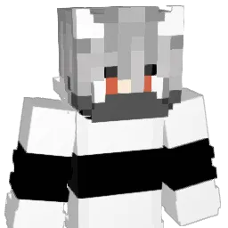 Jenbikeswim Minecraft avatar bust