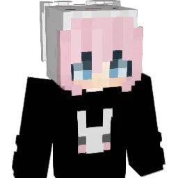Jennpg2 Minecraft avatar bust