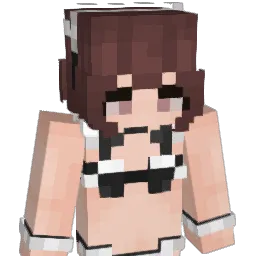 Jeremyrvfd16 Minecraft avatar bust