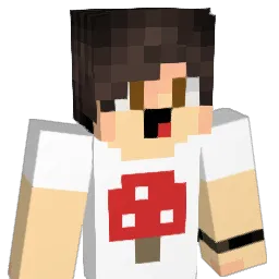 JermMinecraft Minecraft avatar bust