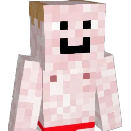 Jerppa98 Minecraft avatar bust