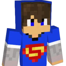 Jippemarten Minecraft avatar bust