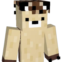 JoHe2109 Minecraft avatar bust