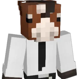 Joa0_44 Minecraft avatar bust
