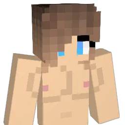 JochenJanzer Minecraft avatar bust