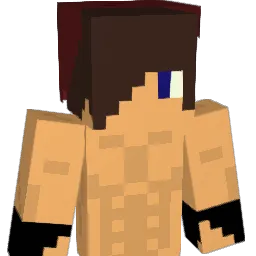JoeT2341_ Minecraft avatar bust