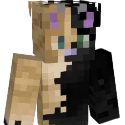 Joe_Kang's Minecraft skin