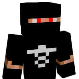Joel1337 Minecraft avatar bust
