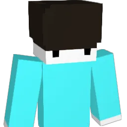 Johakim37 Minecraft avatar bust