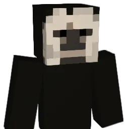JohanSolo Minecraft avatar bust