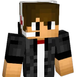Johannator16 Minecraft avatar bust