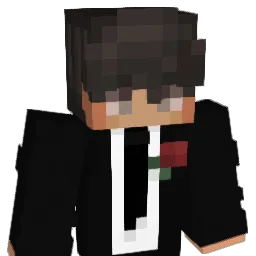 Johannsen007 Minecraft avatar bust