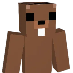 JohnC48's Minecraft skin