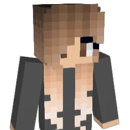 Johnson1993 Minecraft avatar bust