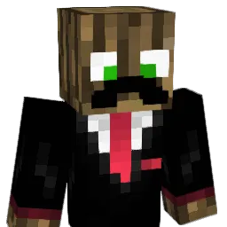 Jojohi20 Minecraft avatar bust
