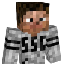 JokerX999 Minecraft avatar bust