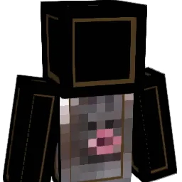 Jokerbun Minecraft avatar bust
