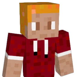Joli04 Minecraft avatar bust