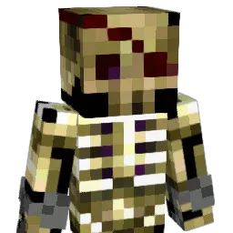 Jolly_Walrus Minecraft avatar bust