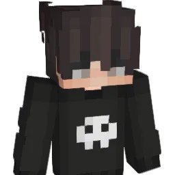 Jonas2502 Minecraft avatar bust