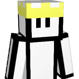 Jonpork1 Minecraft avatar bust
