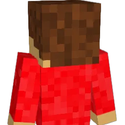JoshuaLewis3351 Minecraft avatar bust
